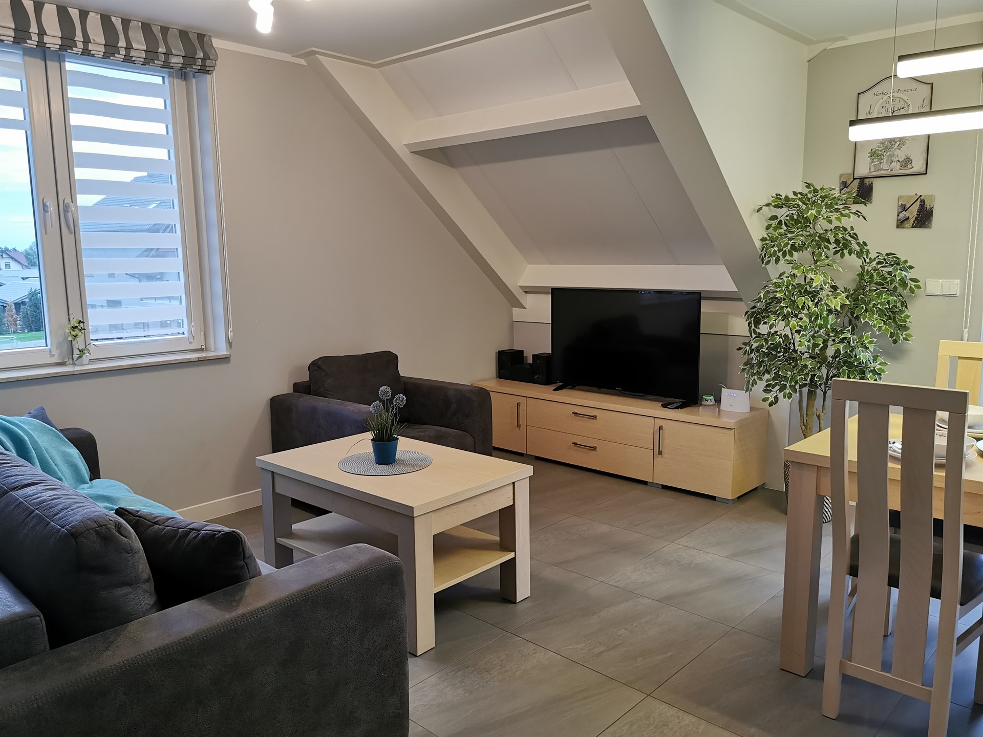 Salon na poddaszu z szarą sofą, stolikiem z niebieską doniczką, telewizorem na niskiej szafce i dużą rośliną