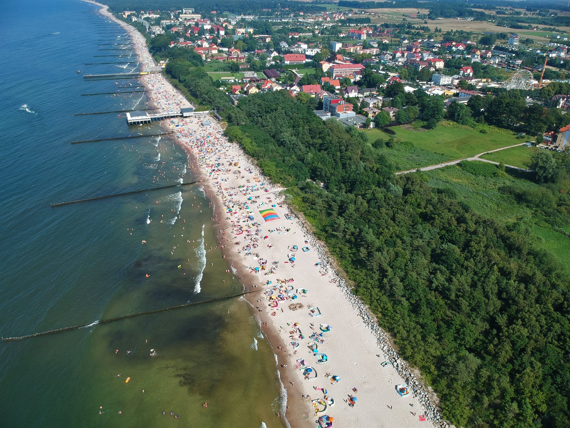 Piaszczysta plaża z tłumem kąpiących się, kolorowymi parasolami, drewnianymi falochronami i pasem lasu
