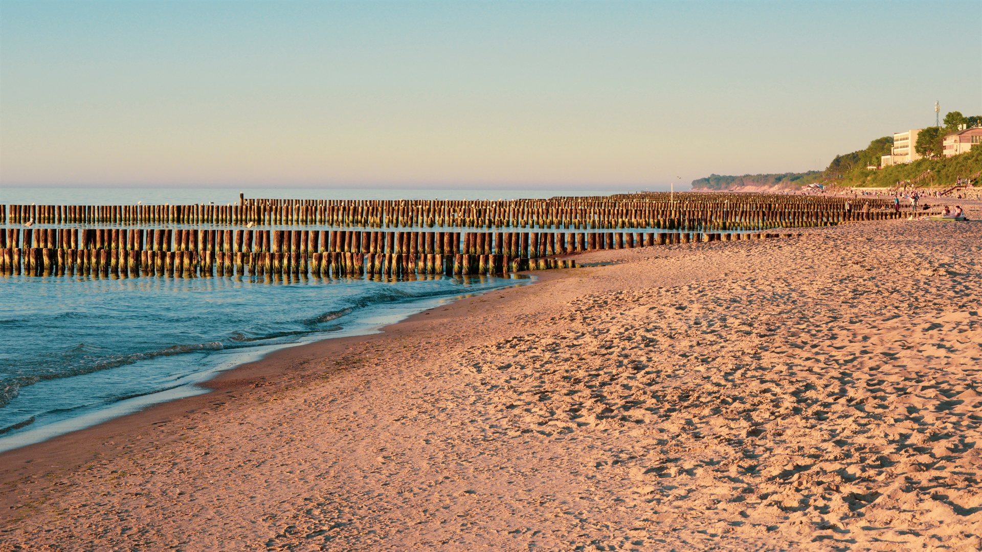 Piaszczysta plaża o zachodzie z równymi rzędami drewnianych pali w wodzie i linią niskich fal