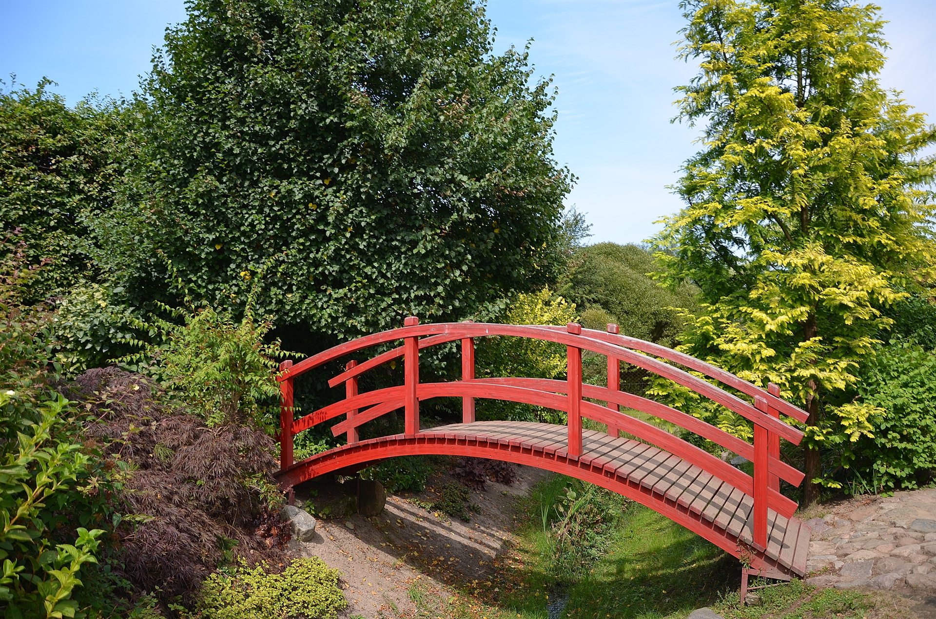 Czerwony łukowaty mostek drewniany nad wąskim strumykiem w bujnym zielonym ogrodzie